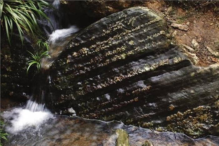 湖南省平江县阳合村溪边惊见“阳合天书”?地质学家称地质遗迹有11到17亿年历史