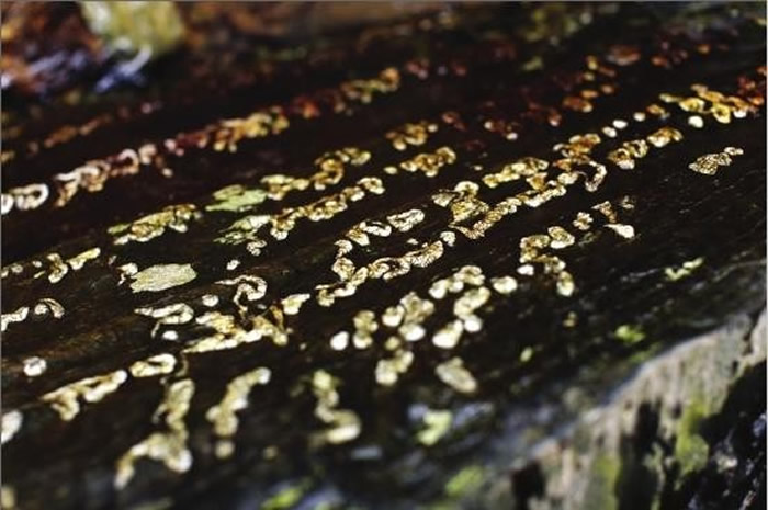 湖南省平江县阳合村溪边惊见“阳合天书”?地质学家称地质遗迹有11到17亿年历史