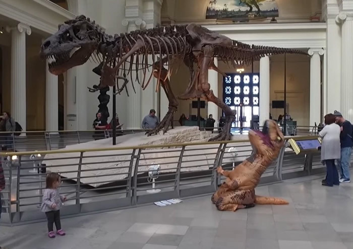 ���������ް֡�ӰƬ�ٶ��������� ��������װ��ż������ݰ�����Sue��ʯ�������