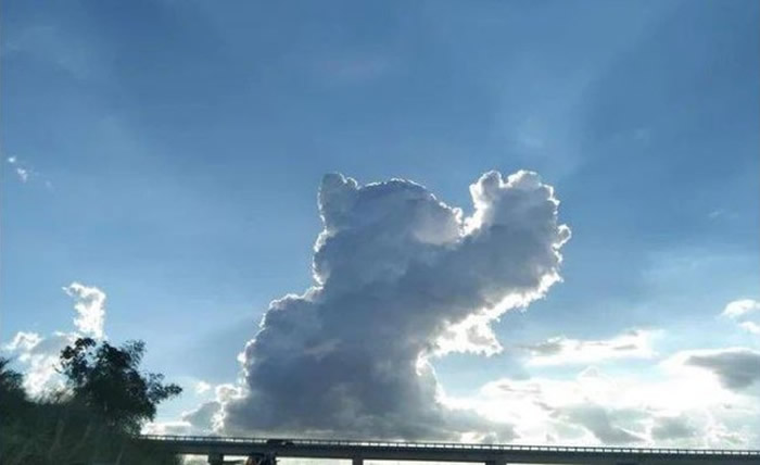 日本网友在推特分享云朵照 仿佛喵星人正在天空中玩耍