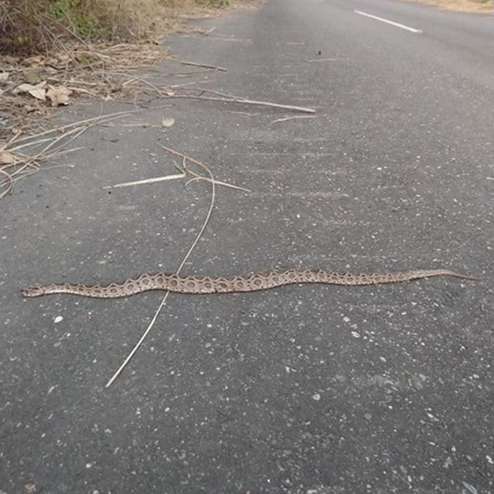 ̨�����С�������������� �Ż��˶�����