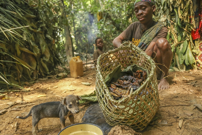 ��ˮ��ҵ�����ޡ����޺�����2���˿���Ҫ�ĵ�������Դ����Ϊ6000�����ṩ�����ƺ;�ҵ���ᡣ��Ƭ��Դ��Daniël Nelson��WWF