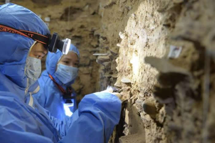 中国科学家通过科技考古复原古人类历史