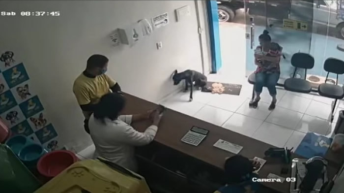 ����һֻ���˺ڹ��Լ��߽���ҽ������� û�в�����ں������Ⱥ�