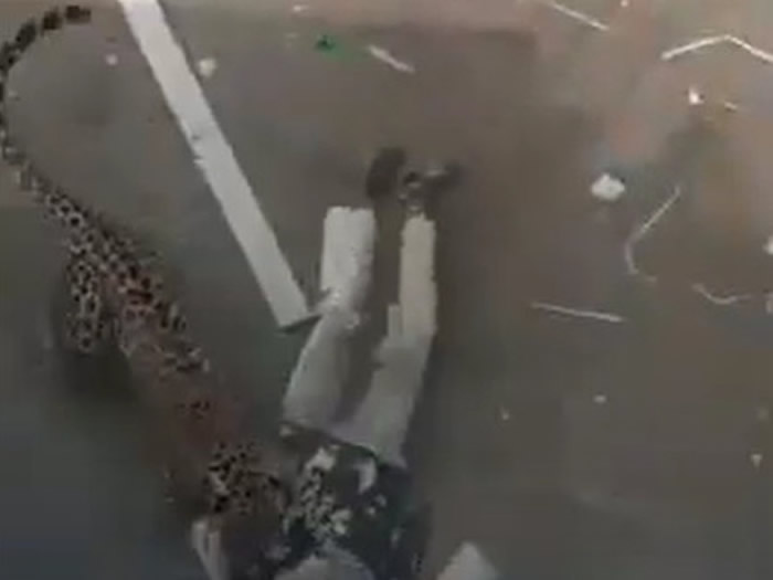 ӡ�����������������¼���Ůͯͷ����� ������Ա��ҧ������