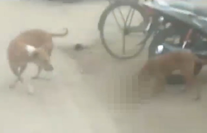 ӡ�Ȱ�������һ��ҽԺҰ����Ȼ����ŮӤʬ���Ĵ��й�