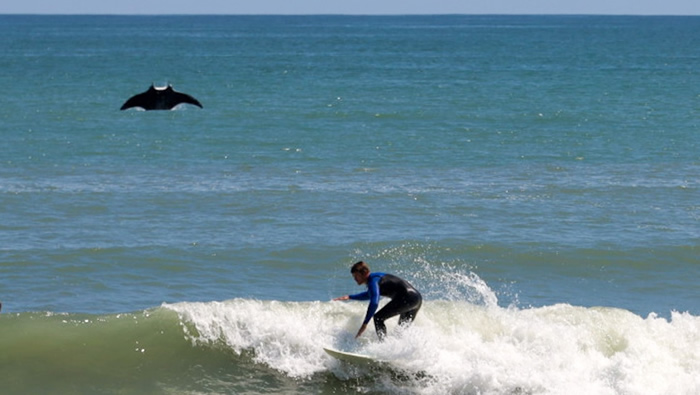 󺣹֡ҵӰʦڷݺ̲׽͹Ծˮ