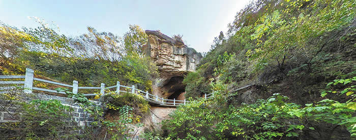 ��֯������̽Ѱ�������ż�