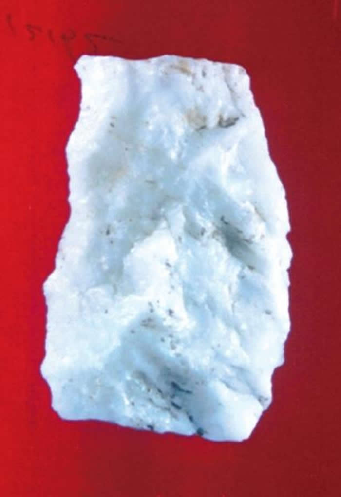 ��֯������̽Ѱ�������ż�