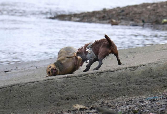 Ӣ��Ů�����޹�δʹ��ǣ�� ������С���������������ⰲ����