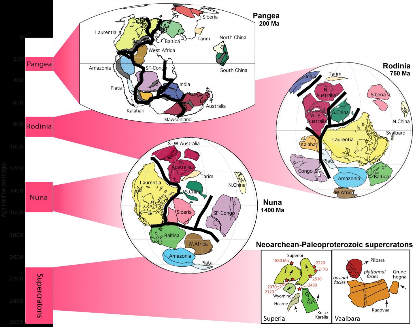 ŵشѧо½γɺͷѵڴԼ20ǰſʼ