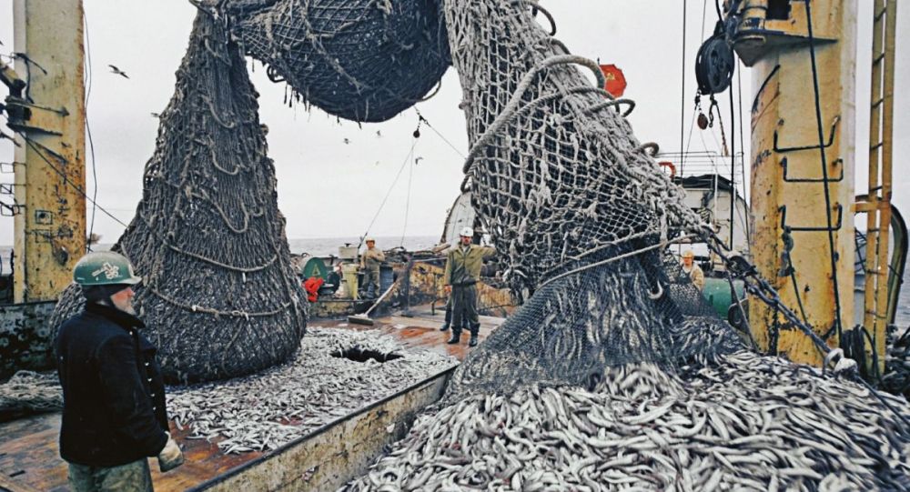 оÿ洬̵Ķ̼ŷȫ򺽿ҵ̼ŷܺ