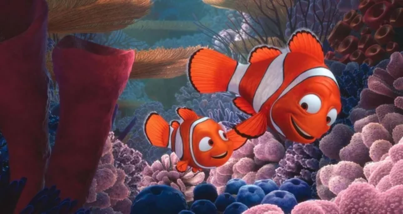 ĴǷֿȸ֩һƷMaratus nemo