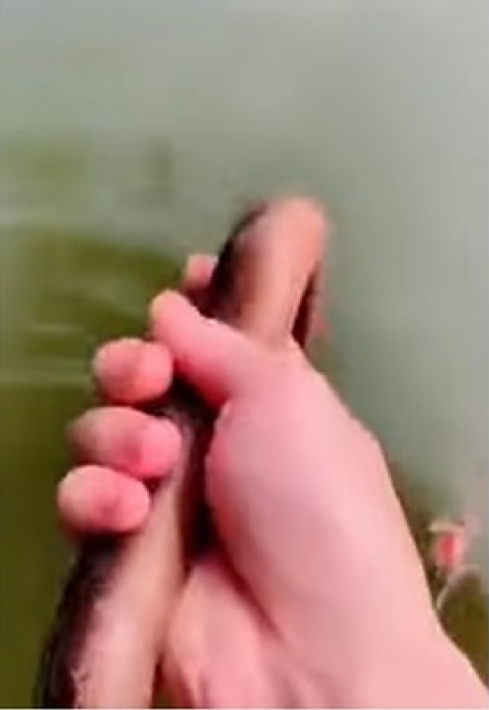 ӷλذǰѣֻϲںӱߵප