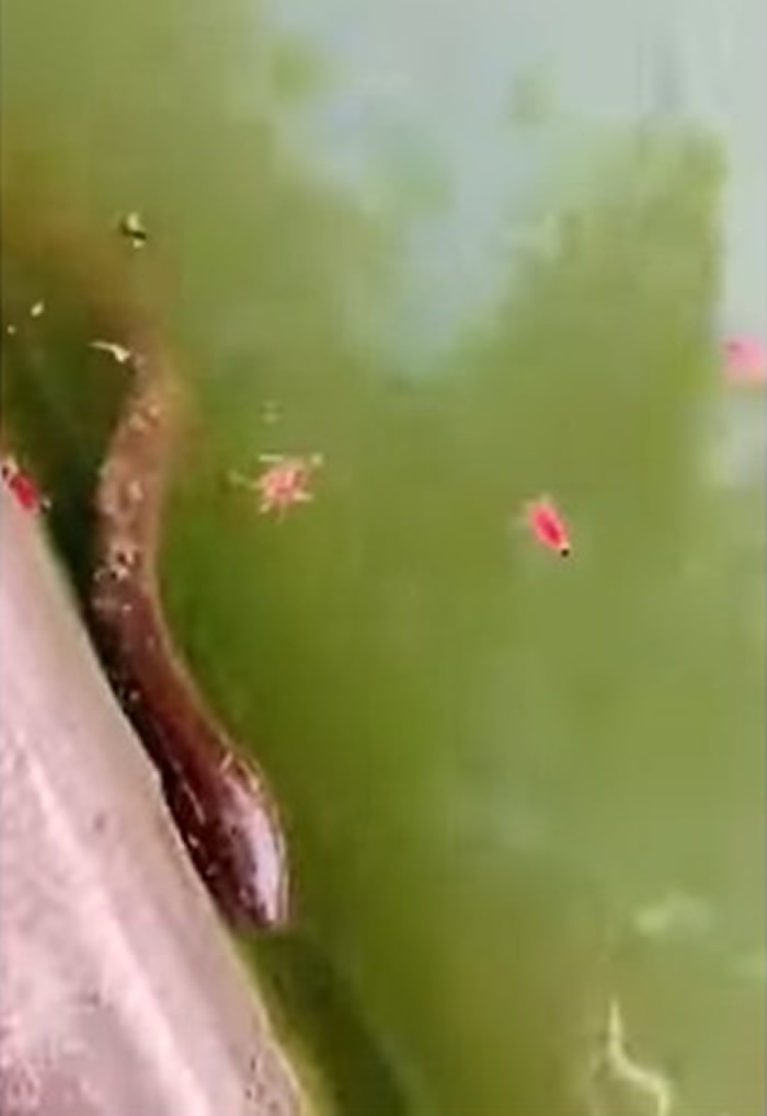 ӷλذǰѣֻϲںӱߵප