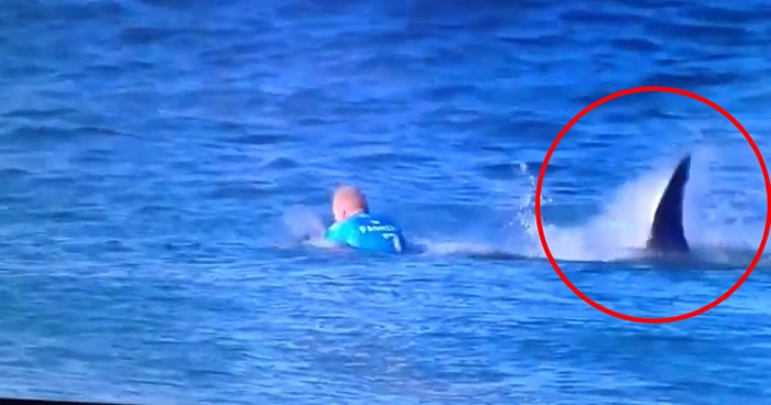 ��������Mick Fanning������������Ϯ�����Ҵ������˺�ѹ��֢��Ⱥ