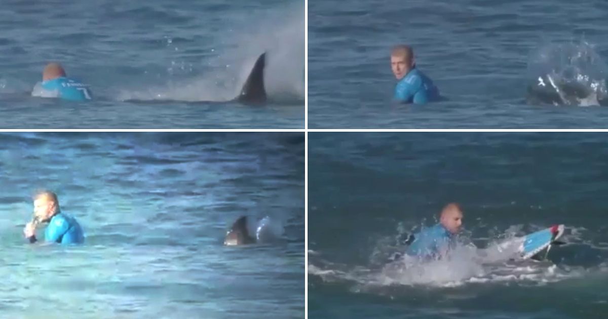 ��������Mick Fanning������������Ϯ�����Ҵ������˺�ѹ��֢��Ⱥ
