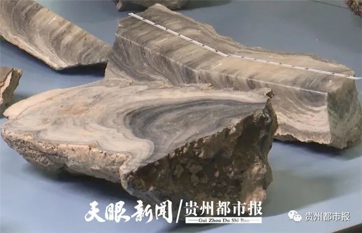 贵州贵安招果洞考古：小石笋大秘密——揭秘中国西南古人类的生存策略