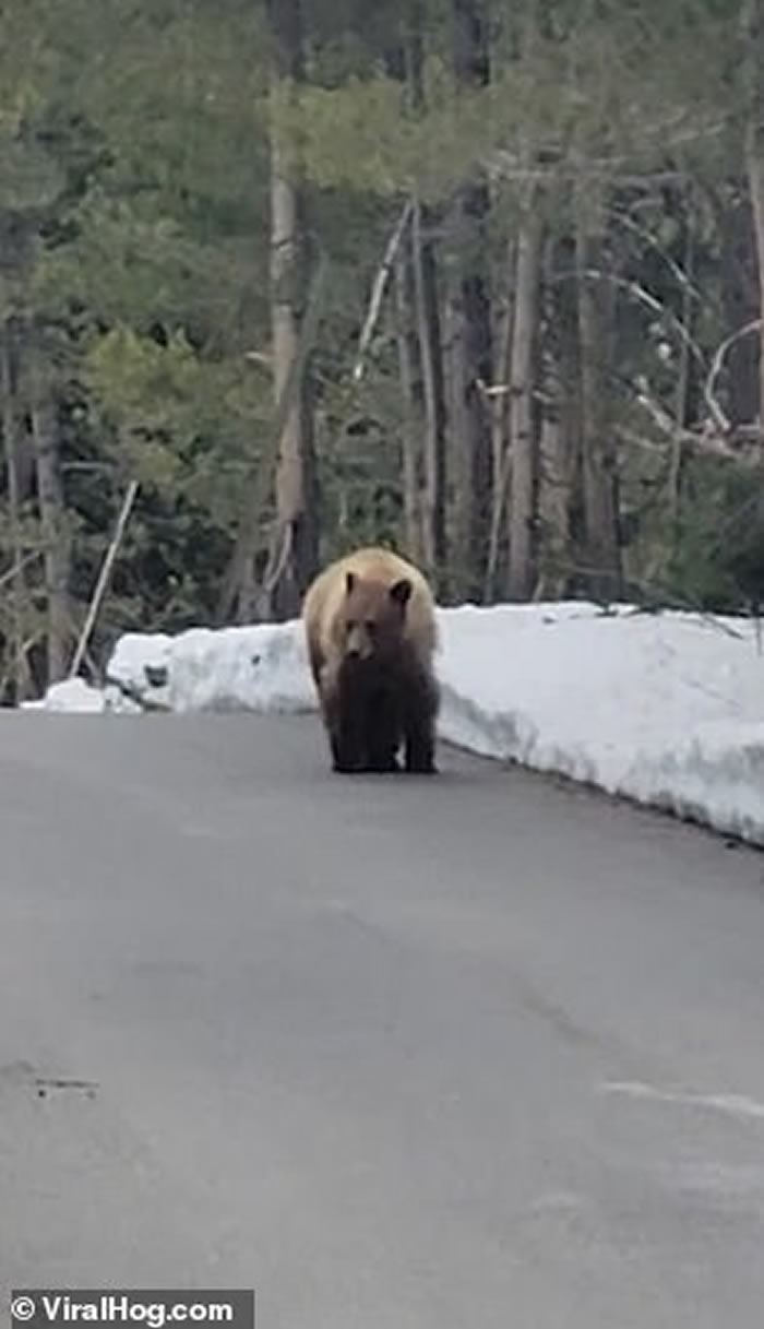 ���������ڻ������ݴ�ٶٹ��ҹ�԰�ܲ�ʱ������������ �侲������1��������