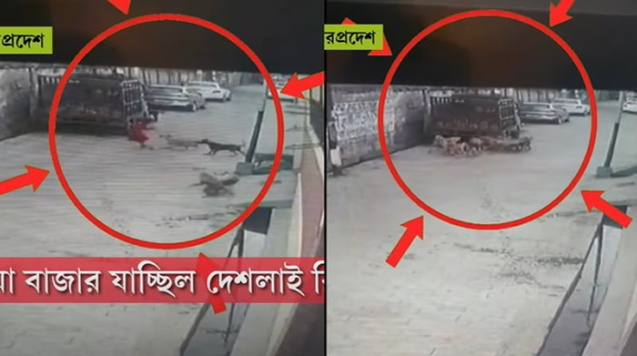 ӡȱ7Ůͯڽ1012˹幥ҧ