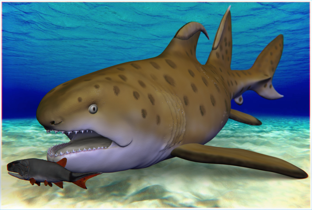 美国新墨西哥州发现的3亿年前“哥斯拉巨鲨”