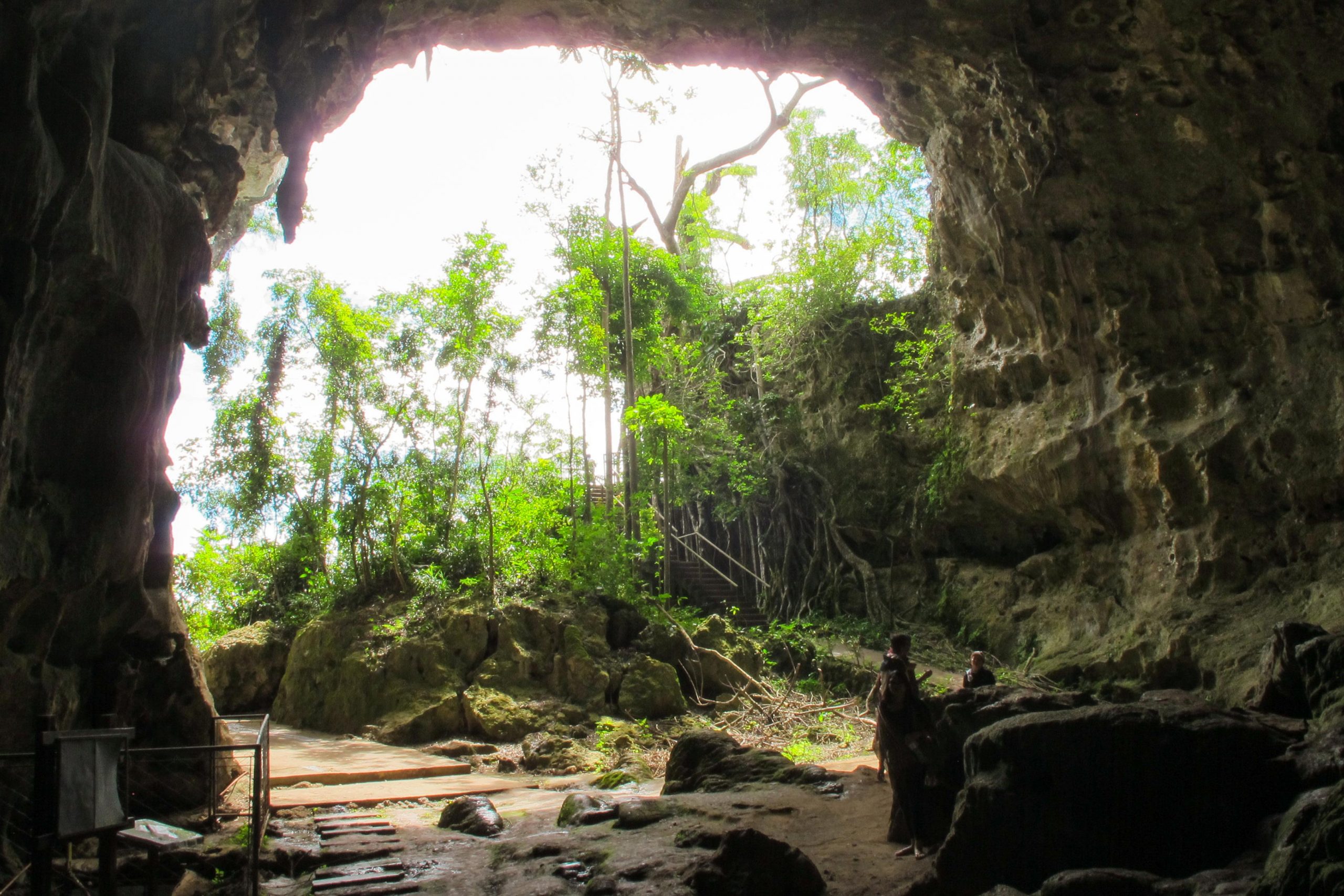 发现巨型云鼠化石的Callou洞穴。(Credit: Patricia Cabrera)