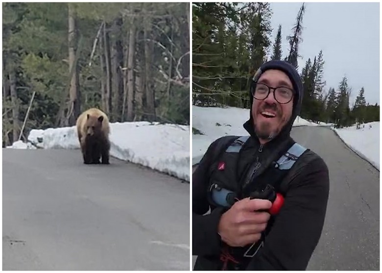 �������ӵ��������ݴ����׶ٹ��ҹ�԰�ܲ��ڼ����ɫƤë����β��1����