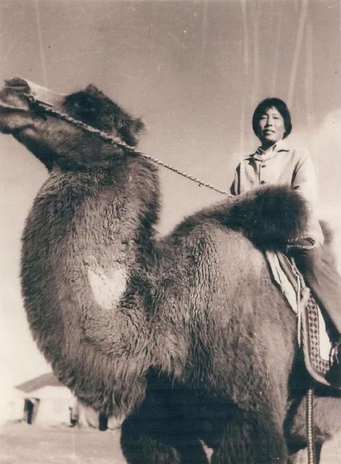 张研:用四十年青春书写女地质工作者的家国情怀