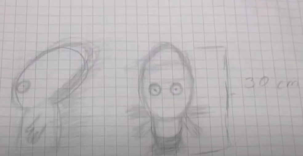 目击者手绘的30公分外星人。（图／翻摄自YouTube「Al Rojo Vivo」）