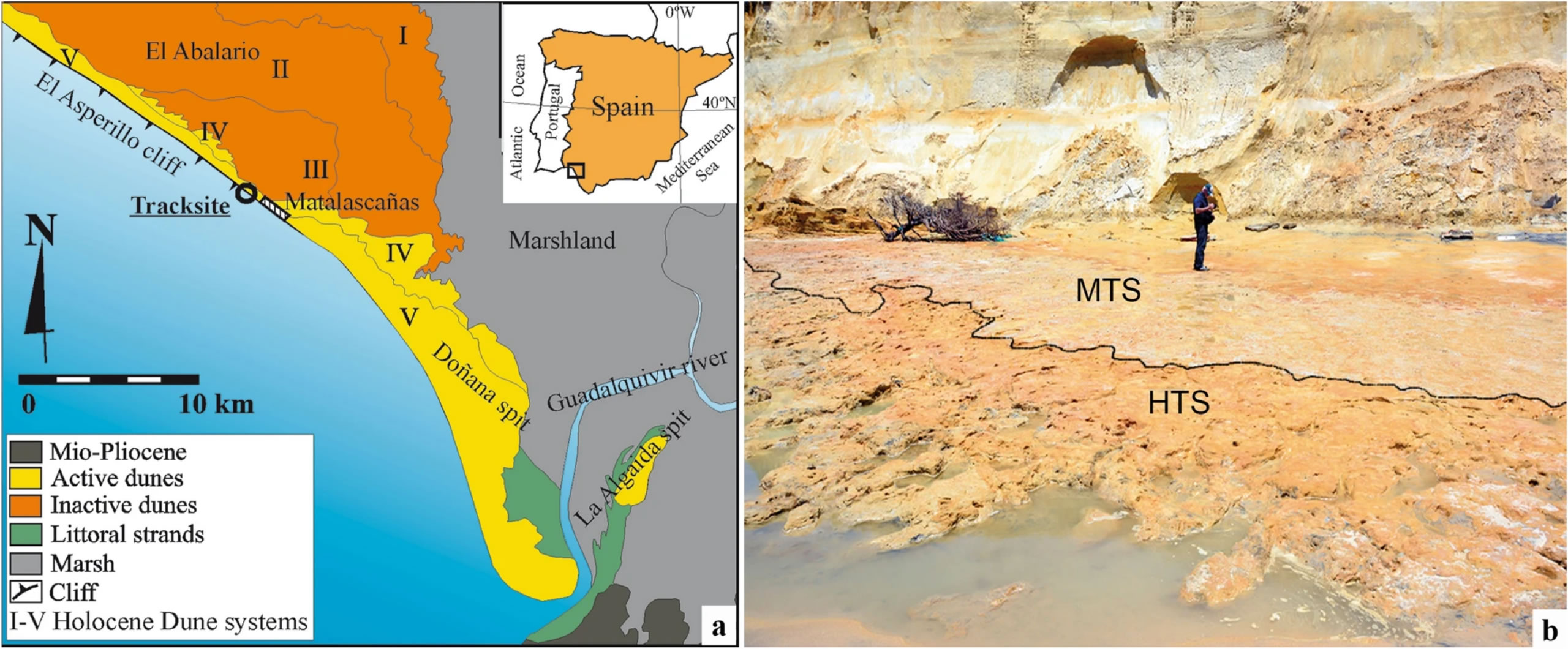 西班牙南部发现10万年前由尼安德特人孩子留下的脚印化石