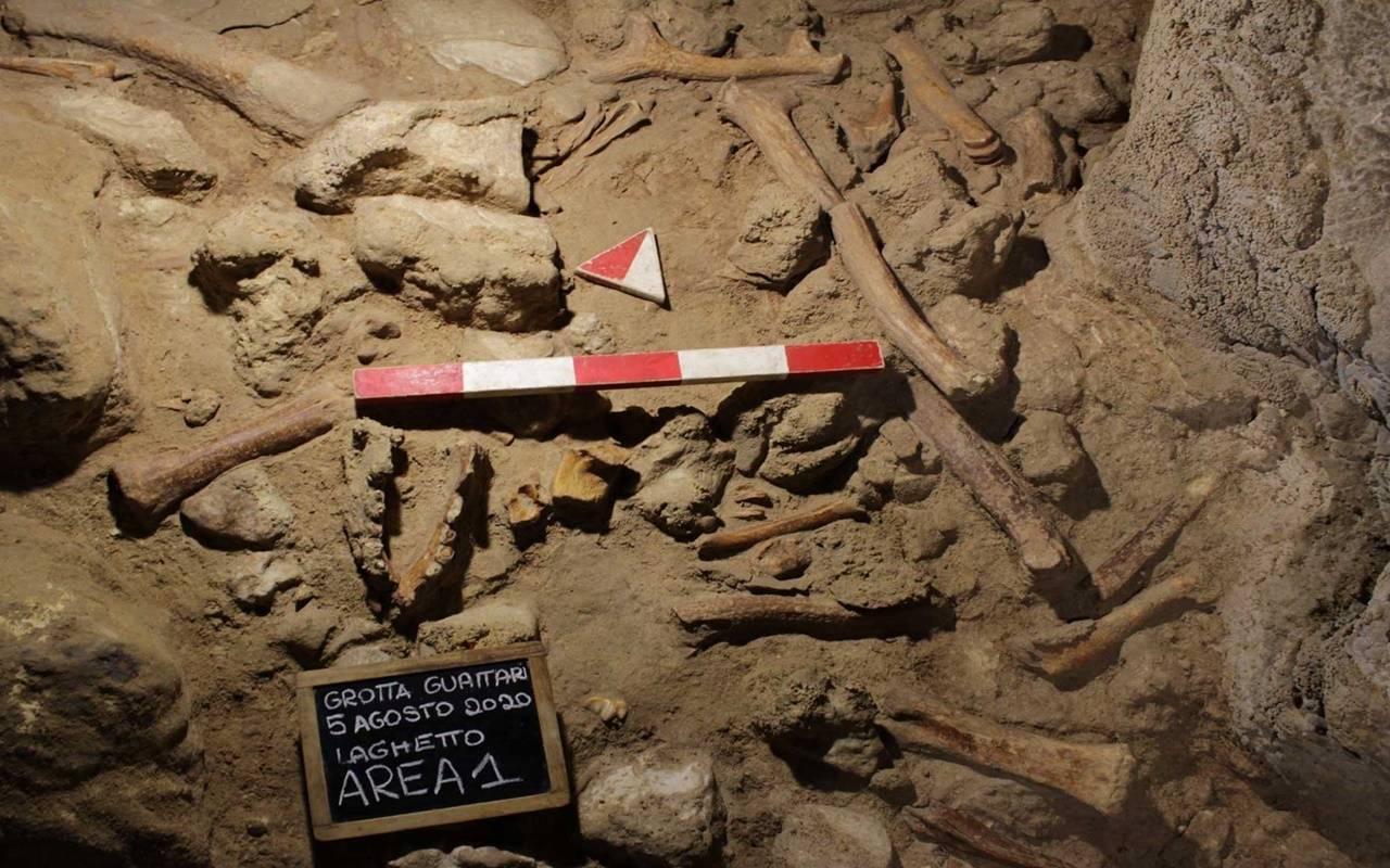 意大利罗马南部的瓜塔里洞穴中出土9个尼安德特人的遗骸化石