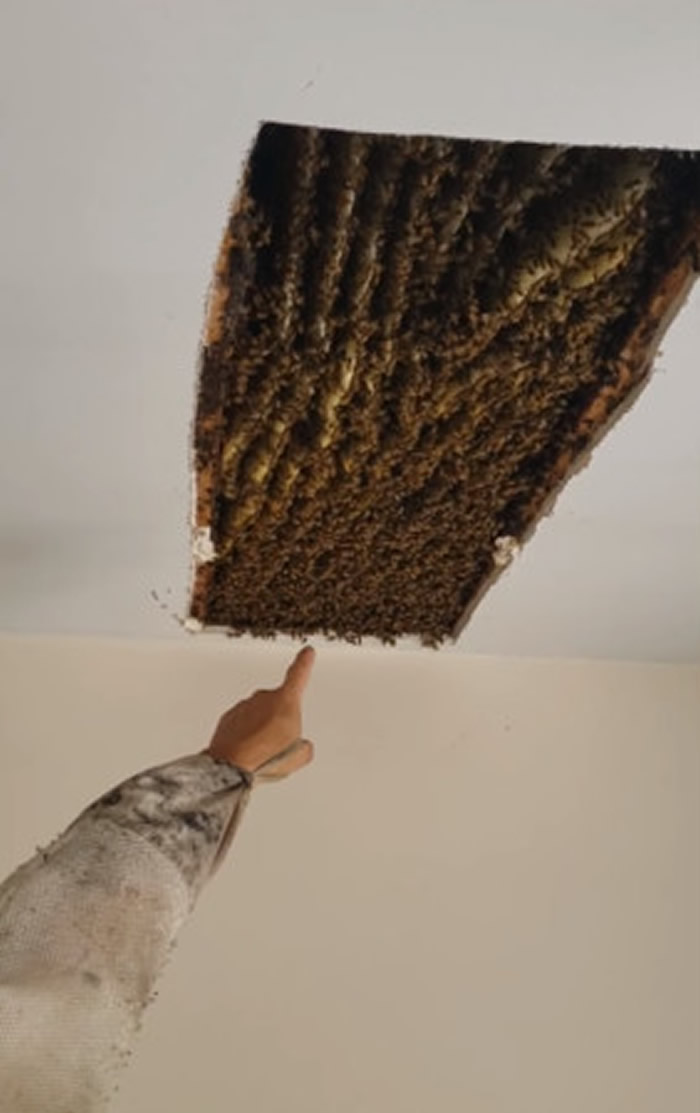 ������������Ů���ڼ��з��ֲ���10���ֻ�۷�ĳ���䳲 4��ǰ������12��ֻ