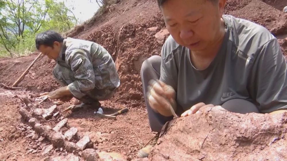 汤姆·克鲁斯新片部分镜头将正在太空拍摄 包露真正在太空止走