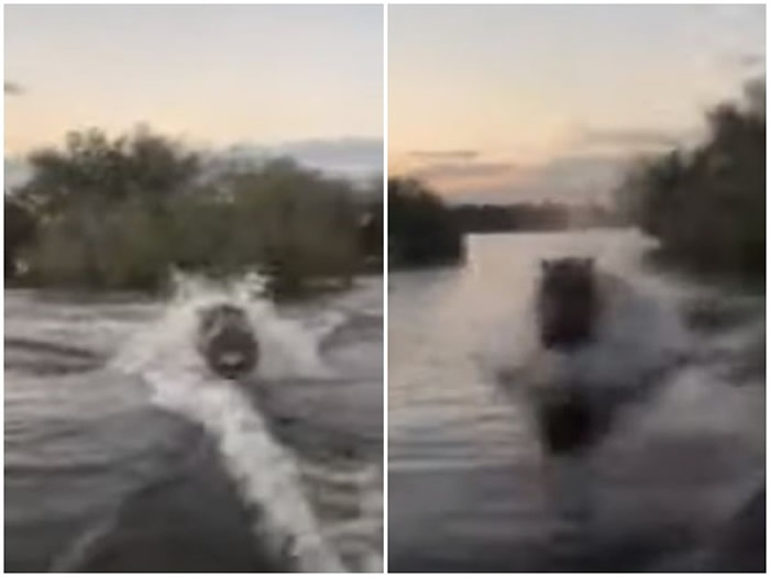 ���������ˮ��ά�����Ǻ��μ�Ұ��������̬֮�õĹ۹�ͱ���ŭ������׷