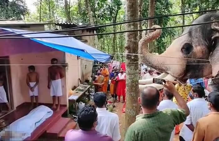 ӡ�������֢ȥ�� ����Brahmadathanͽ��24����������ʶ25����Ѽ��вμ�ɥ��