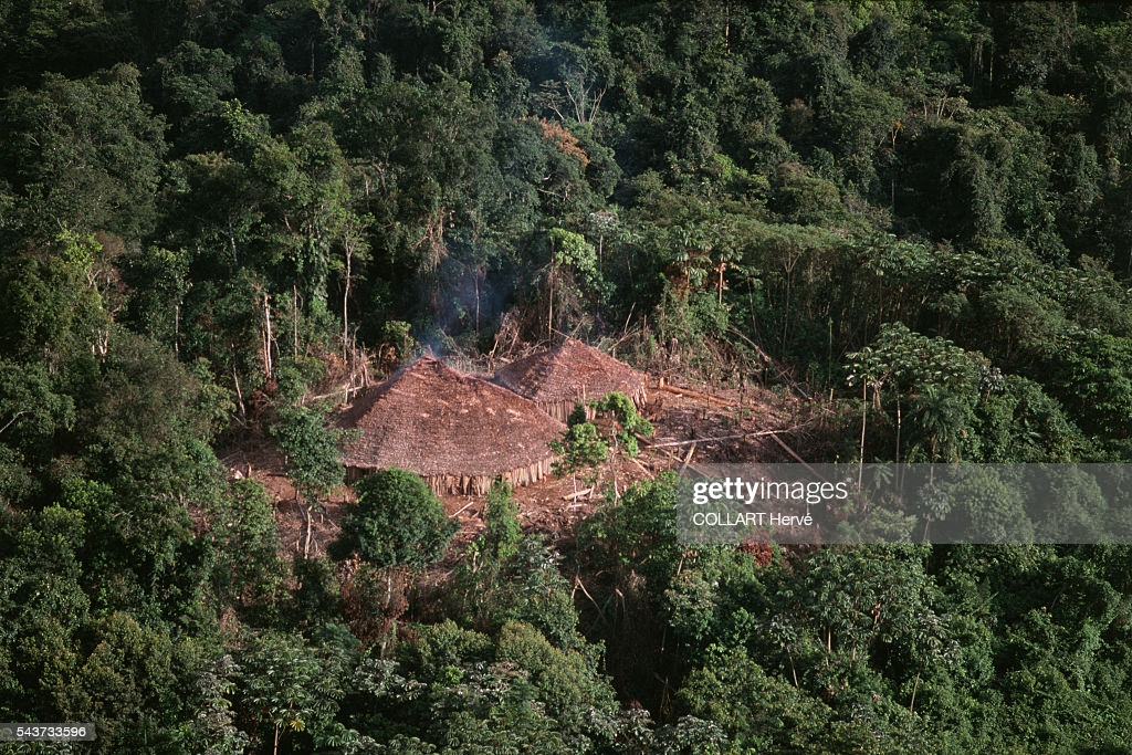 1.3������һֱ���������ȴ�ɭ���ж��� ����-ʳ���Ĺ��Ϸ�����������ʳ��ȫ