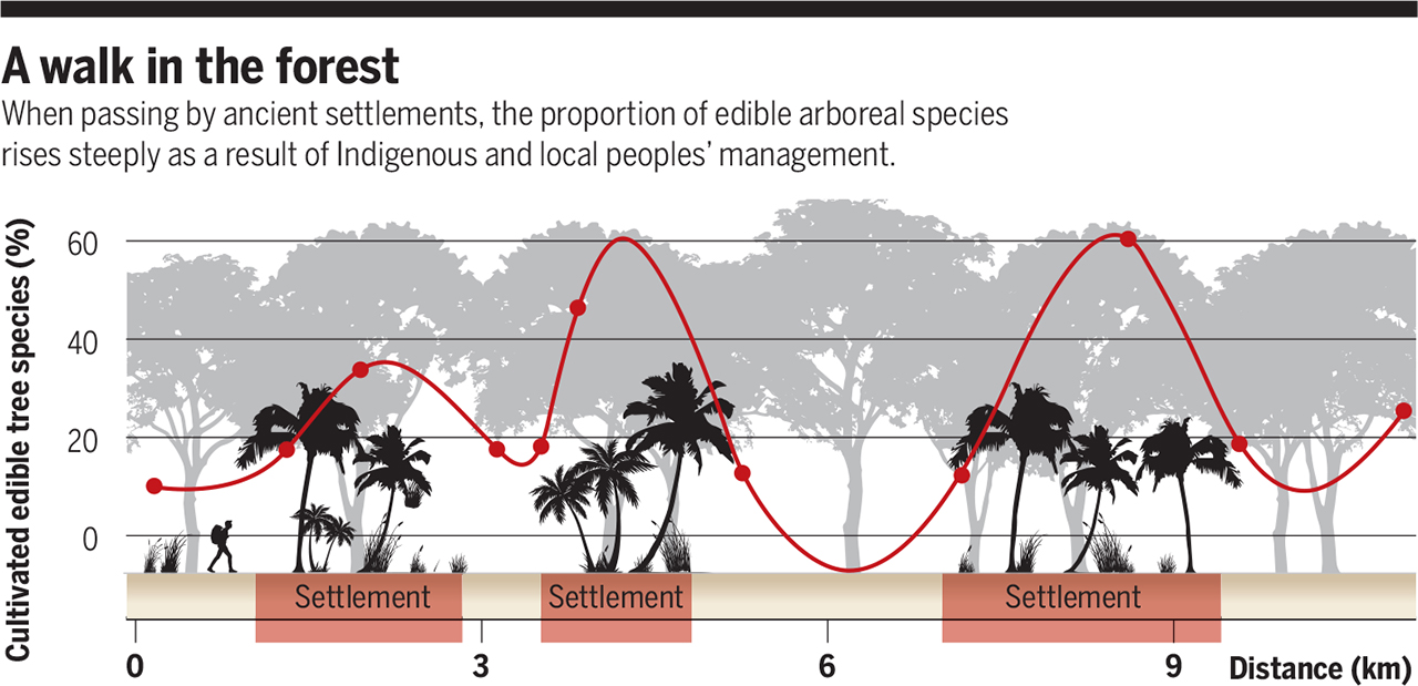 1.3������һֱ���������ȴ�ɭ���ж��� ����-ʳ���Ĺ��Ϸ�����������ʳ��ȫ