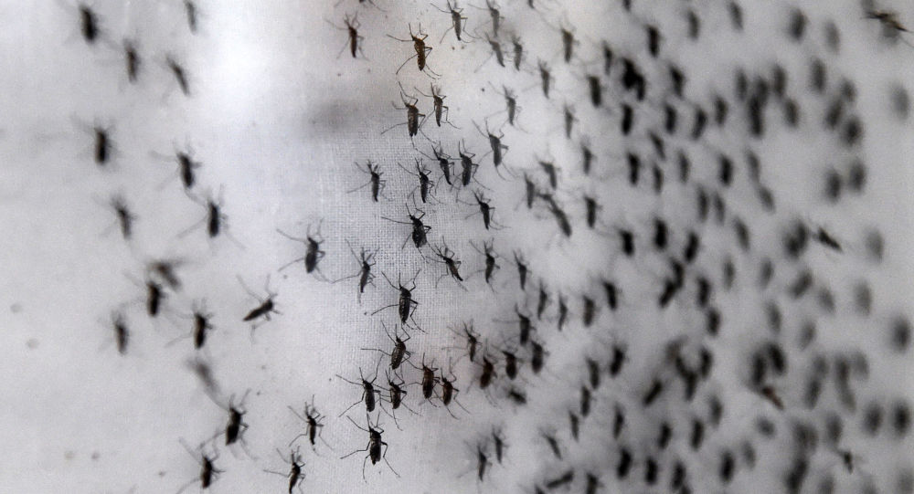 使用 Hyperledger Ursa 简化区块链安全性