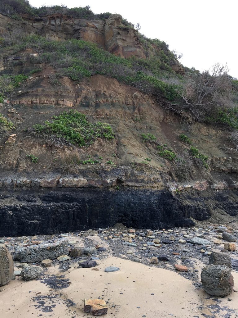 2.519����ǰ������ĩ�ڵ��������ִ���������ٱ�ů����ɭ��-������̬ϵͳͻȻ����