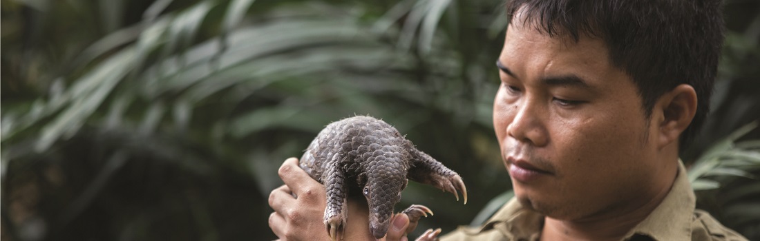 拯救越南野生动物SVW创办人阮文蔡7年救出1600只濒危穿山甲 获颁高曼环境奖