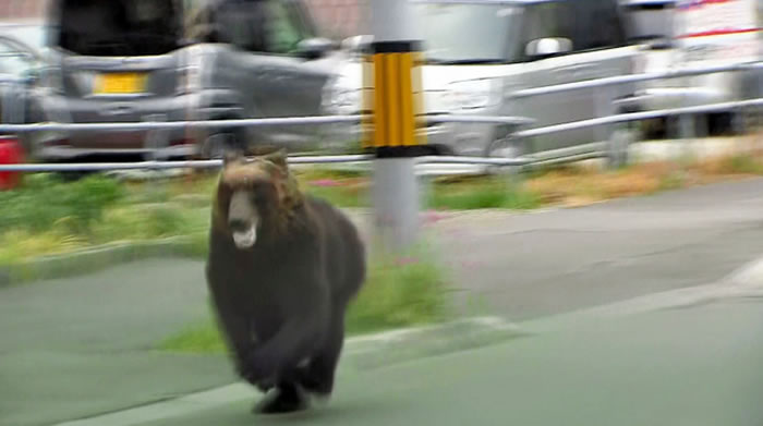 �ܳ�ûע�⣡�ձ�������������Ұ���ܹ���4�� ����׷��8Сʱ�ջ���