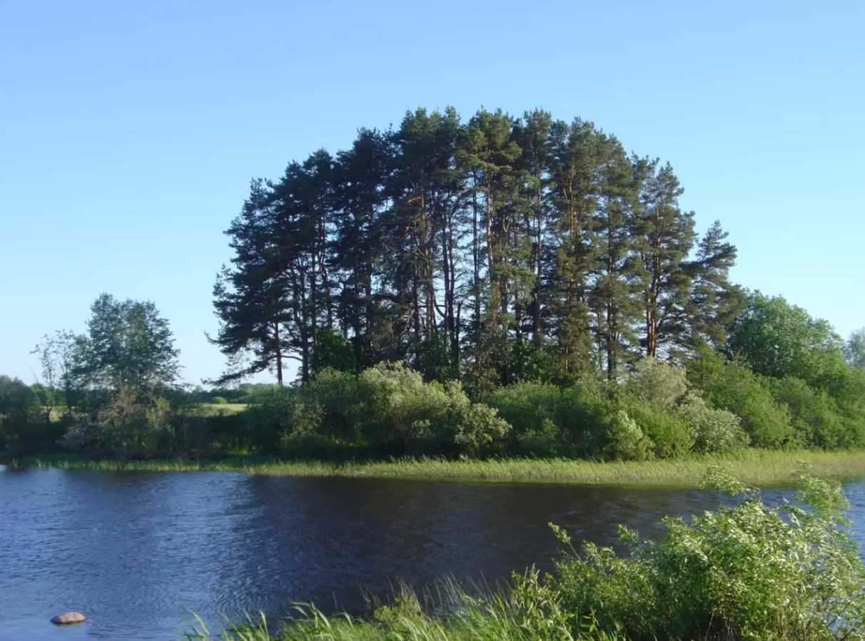 跌没了两万多亿,王兴为何没能拉起美团股价?