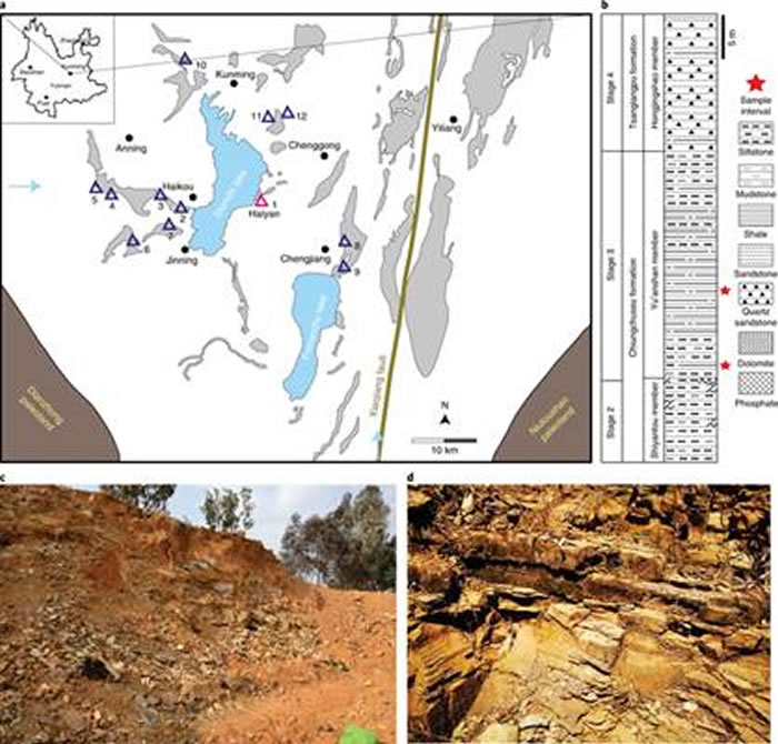 時尚經典潮流服裝（時尚經典潮流服裝品牌）