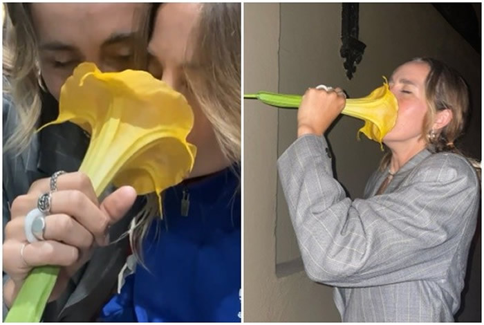 ôֿƻ̲סŸоز ԭľֲ