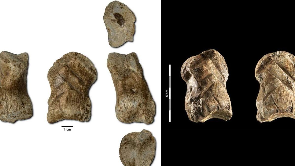 德国北部哈兹山脉发现5.1万年前尼安德特人的骨雕作品