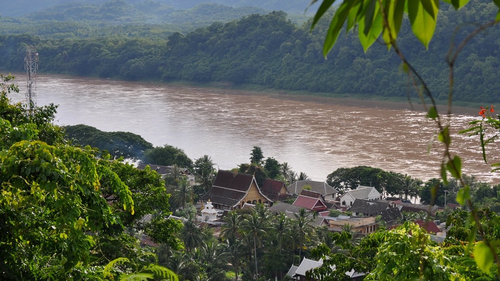 亚马逊河、湄公河和刚果河等世界大河的生物多样性，对科学家来说仍存在诸多谜团。照片来源：David McKelvey（CC BY-NC-ND 2.0）