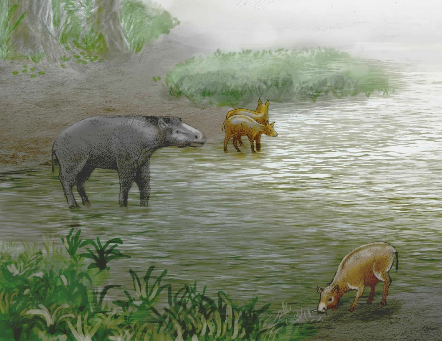 古生物学家发现两种新的、生活在3700万年前的伪马哺乳动物