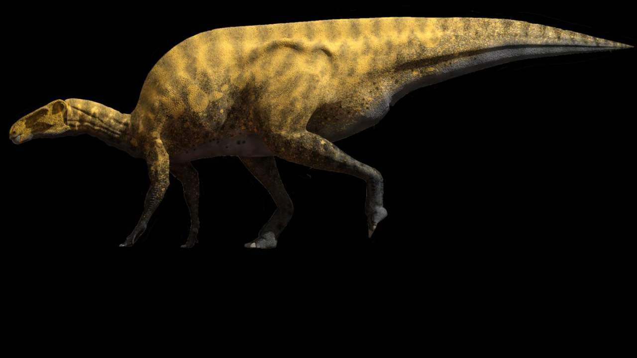 һµĿPortellsaurus sosbaynati