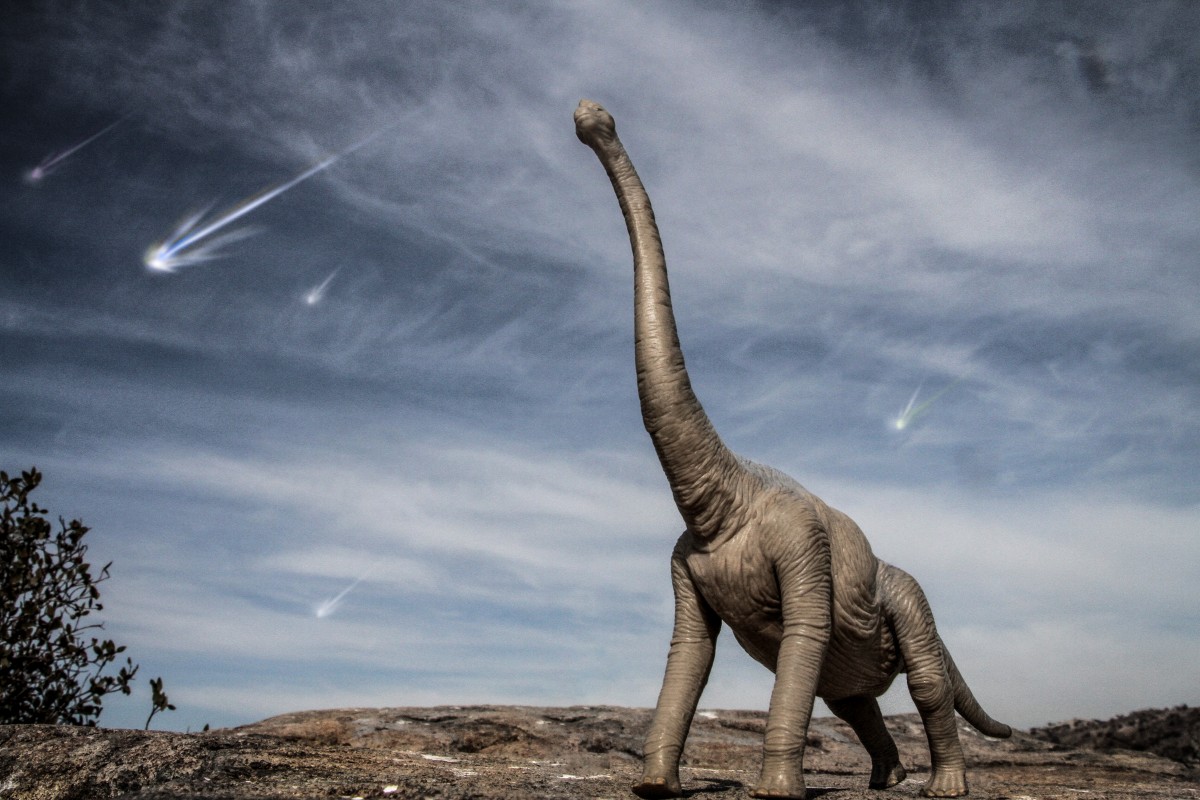 如果没有6600万年前小行星撞击地球，恐龙会灭绝吗？