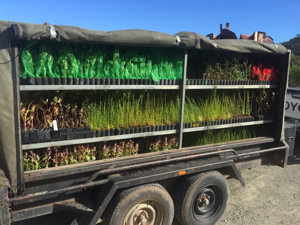 乐施会警告:若只想靠种树造林来达到2050年净零排放 需要五个印度国土面积才办得到